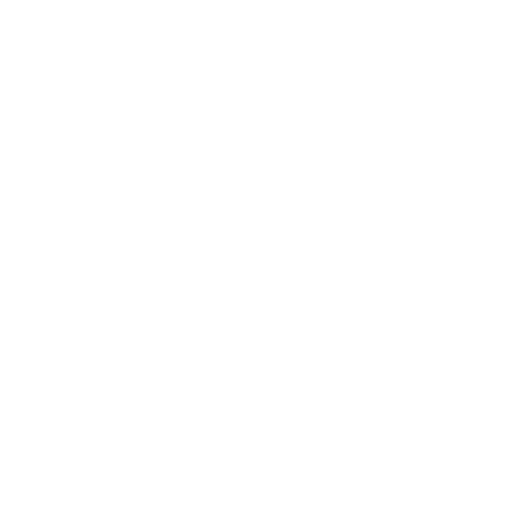 logo light